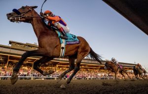 Breeders' Cup Winners in Horse Country