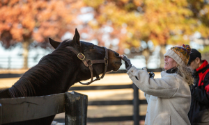 Top Five Things to Experience in Horse Country this October