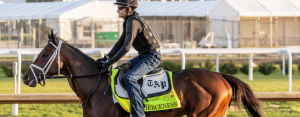 Horse Country Connections: 2024 Kentucky Derby