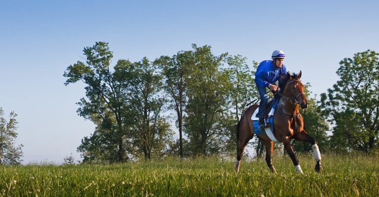 Meet Magdalena Farm, the Newest Member of Horse Country, Inc!