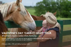 Valentine's Day 'Carrot Gram' Tour